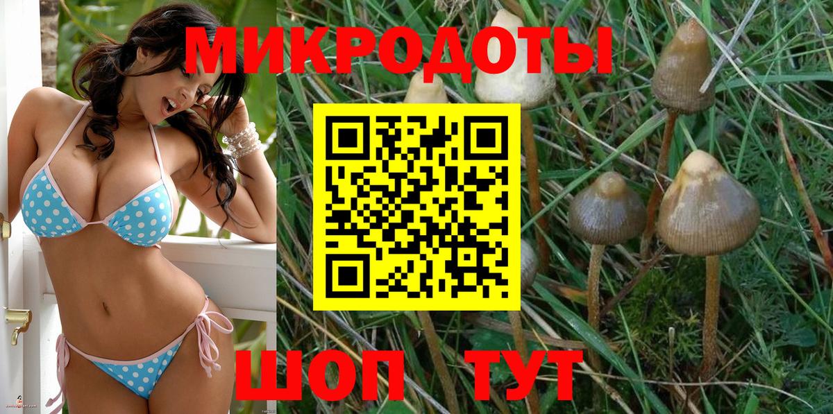 Галлюциногенные грибы ЛСД  Вход с VPN  Киреевск  Галлюциногенные грибы мухоморы 